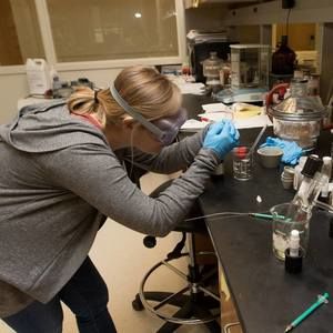 Meet your Posher, Tiffany